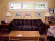 Triple transom windows placed above the couch are the focal point in this light & bright living room